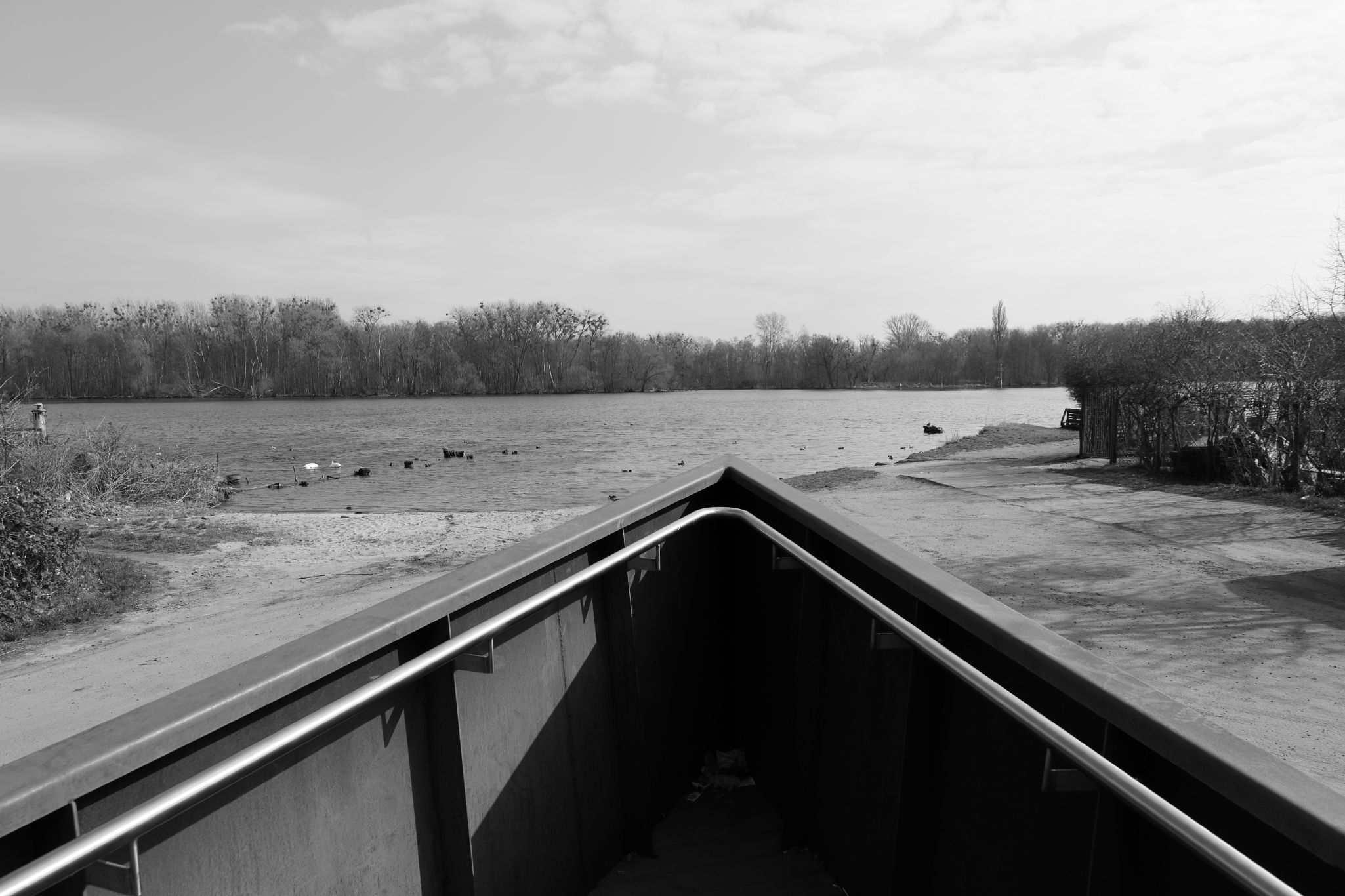 2024 03 10 0809 v2 bw out