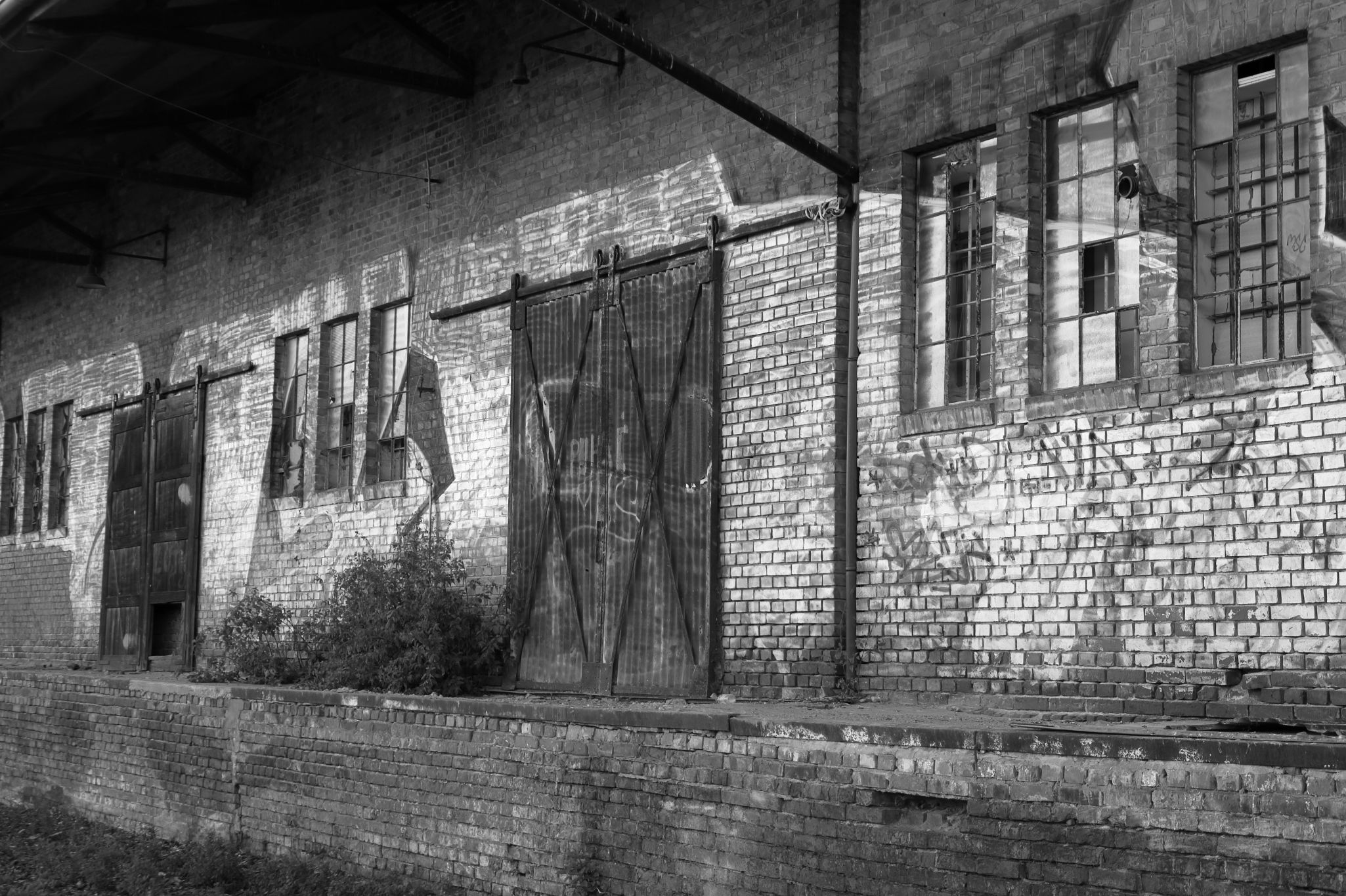 2024 07 14 3523 v2 bw out