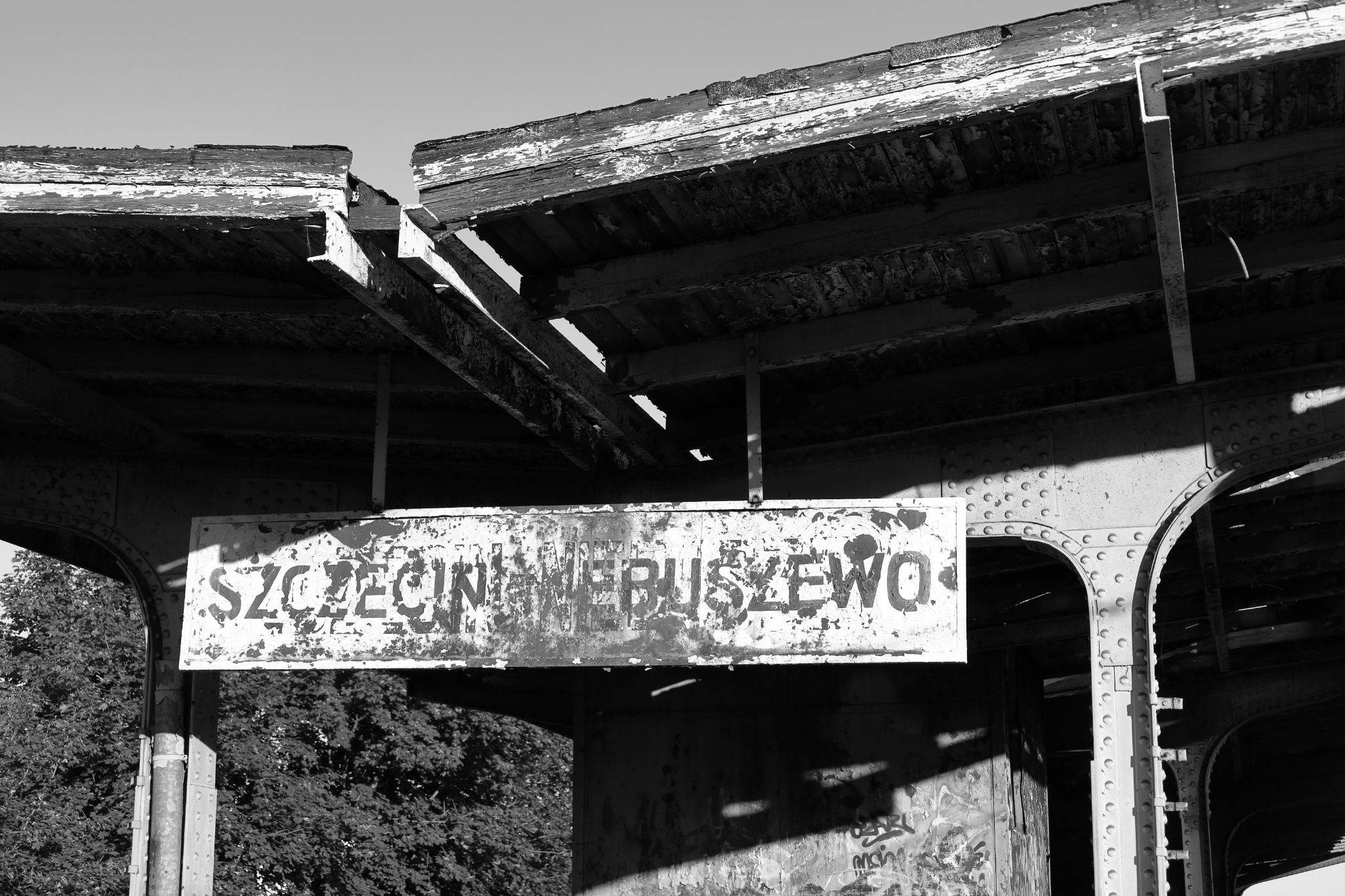 2024 07 14 3546 v2 bw out