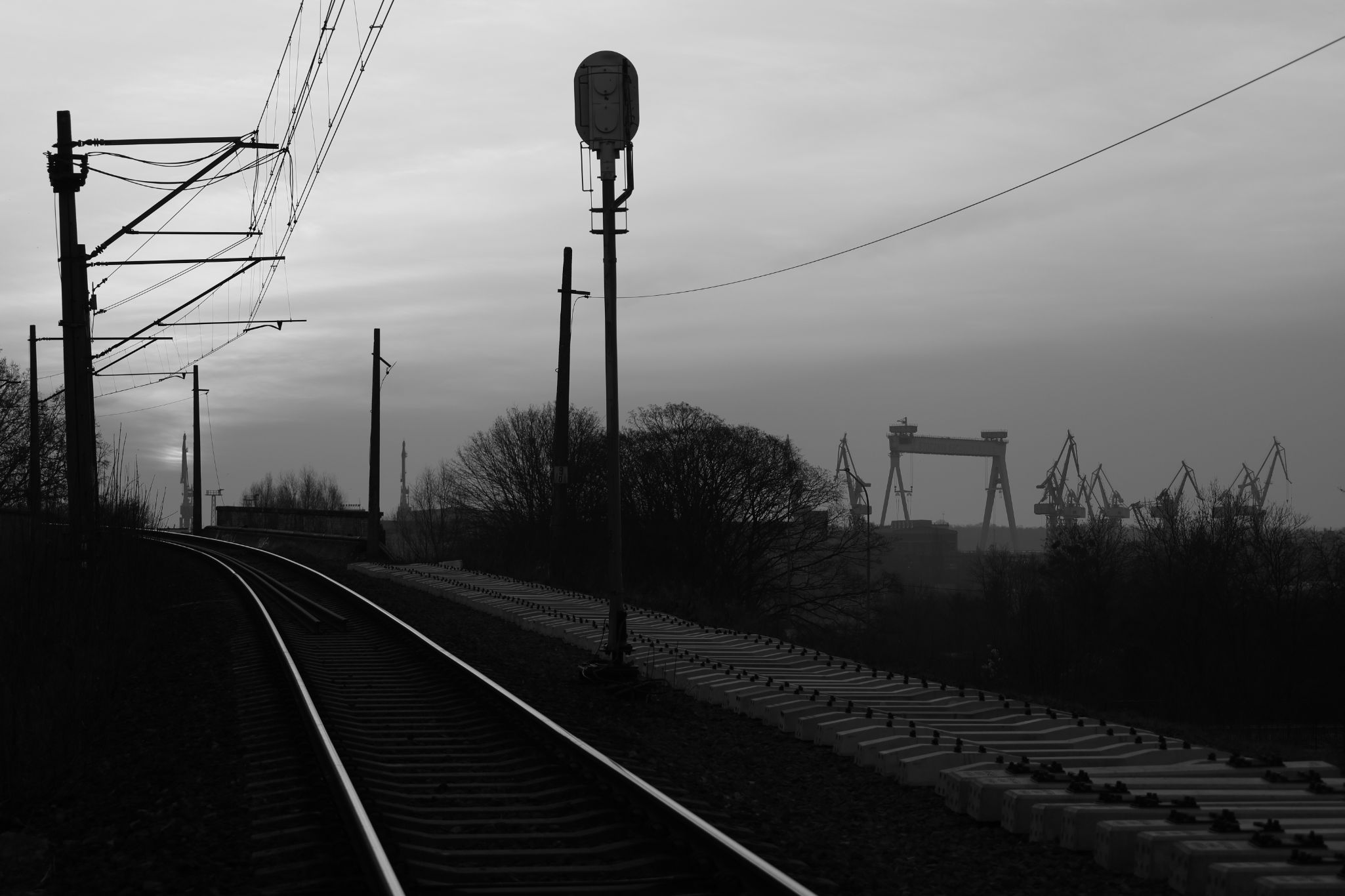 2025 03 09 5832 bw out