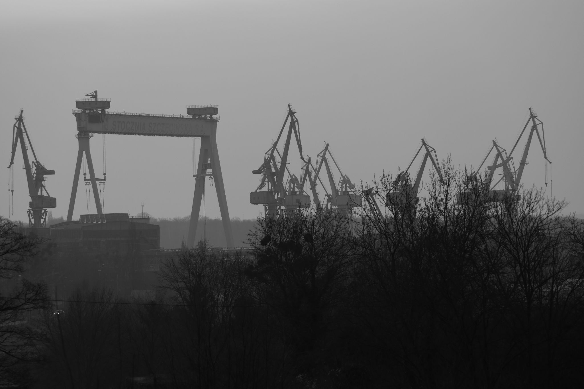 2025 03 09 5835 bw out