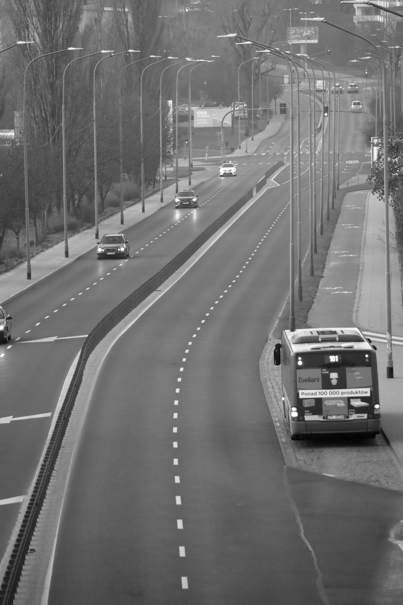 2025 03 09 5841 bw out