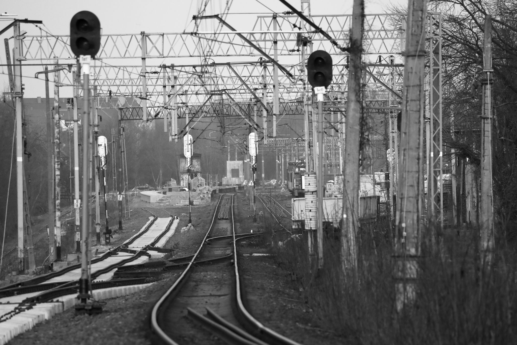 2025 03 09 5849 bw out