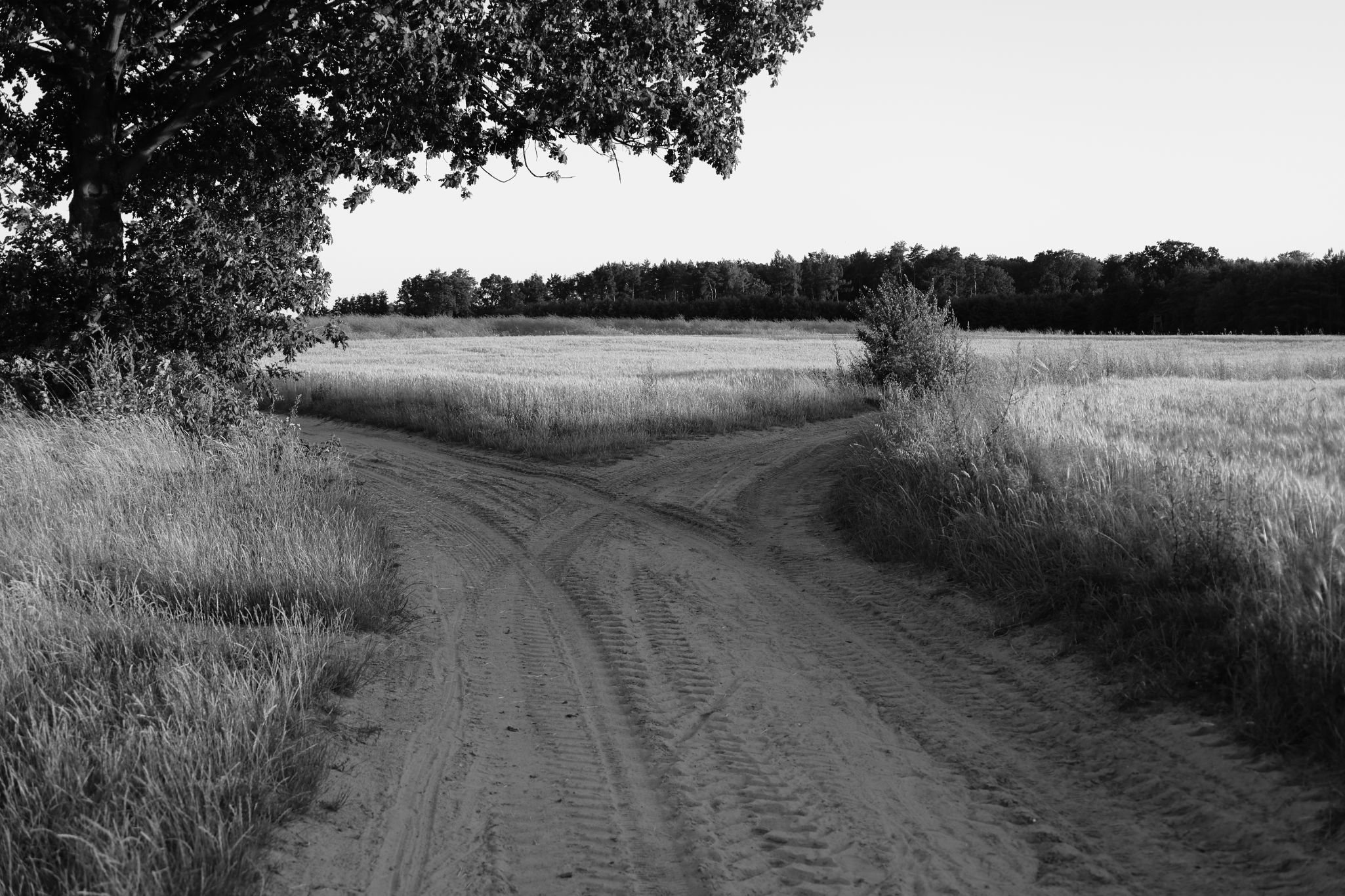 2025 07 03 6164 bw out
