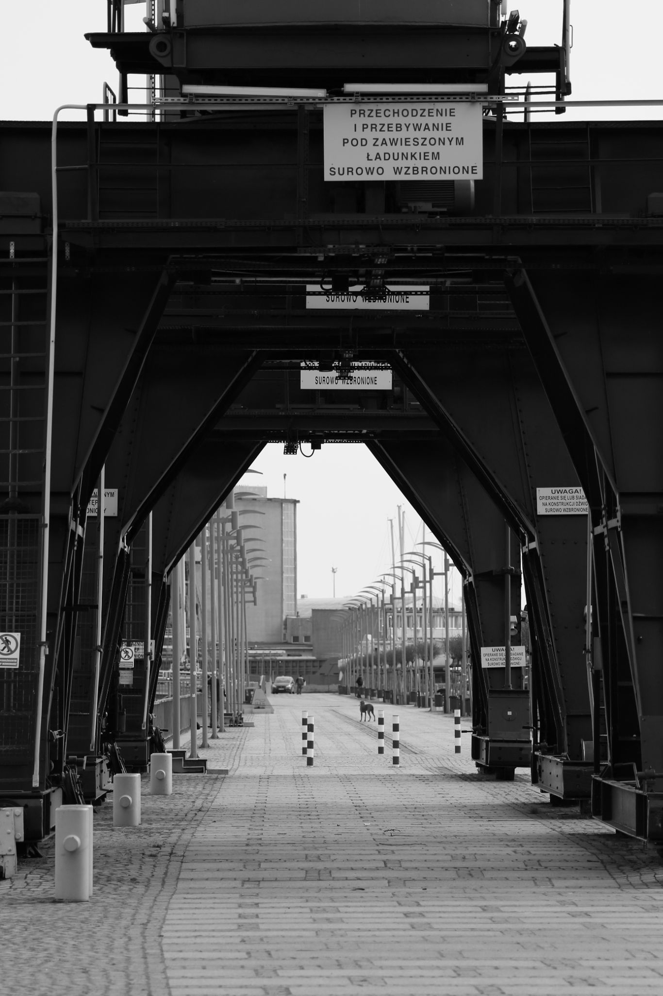 2024 03 30 0891 v2 bw out