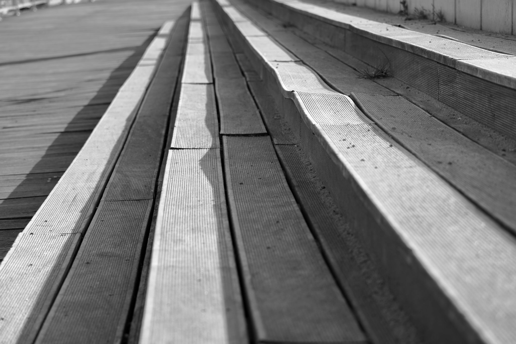 2024 04 30 2209 v2 bw out