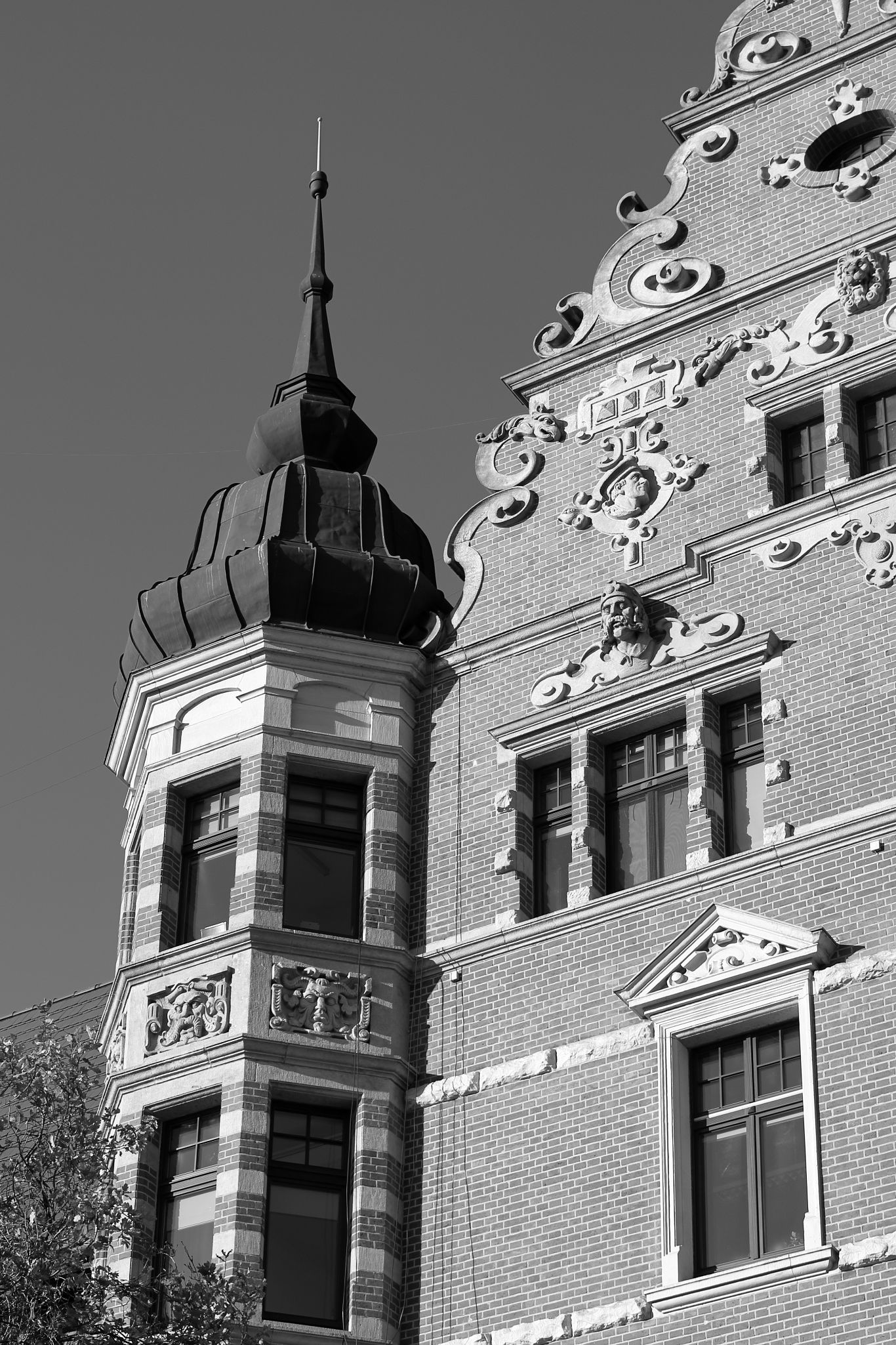 2024 11 30 5570 bw out