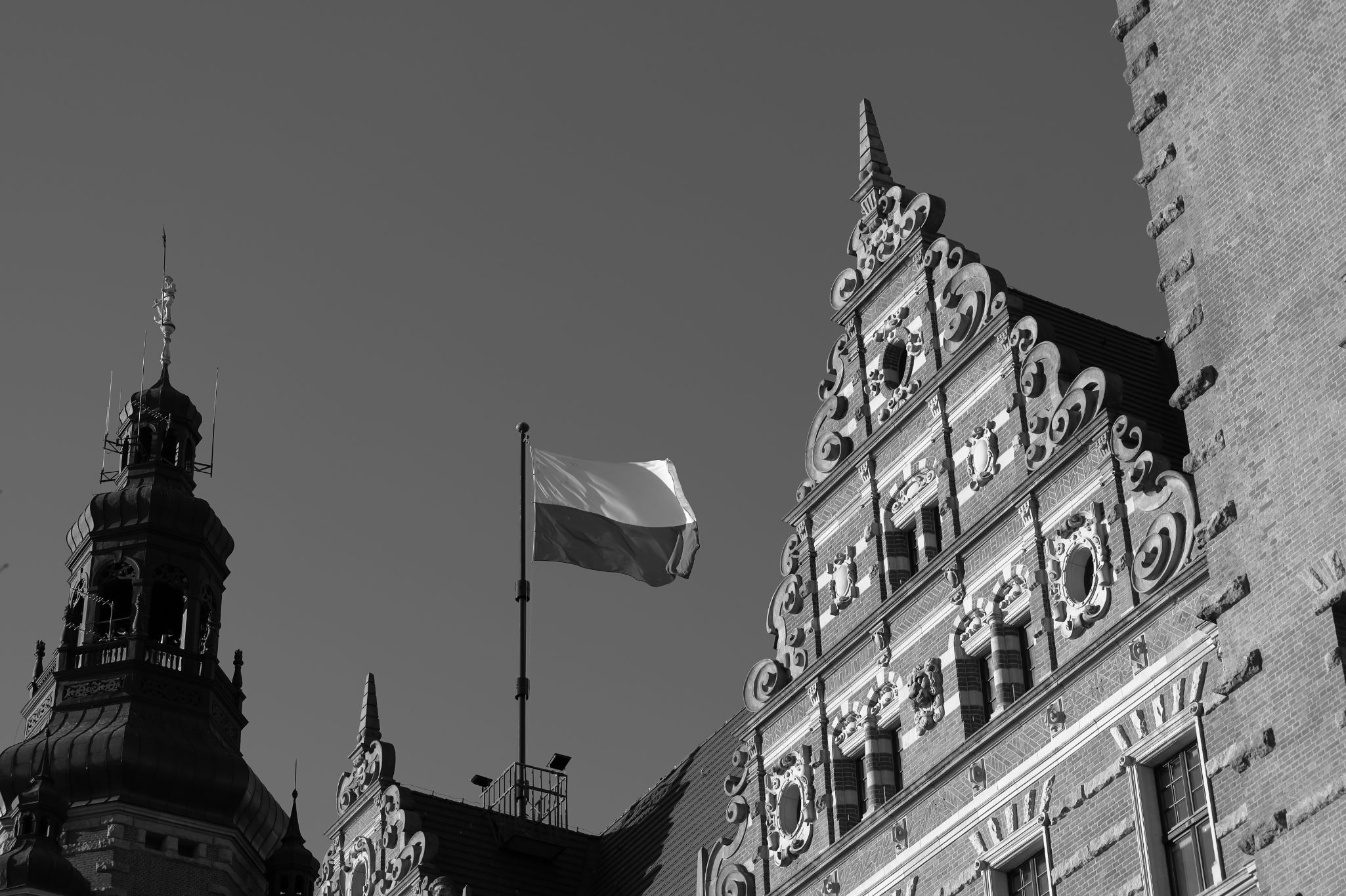 2024 11 30 5574 bw out