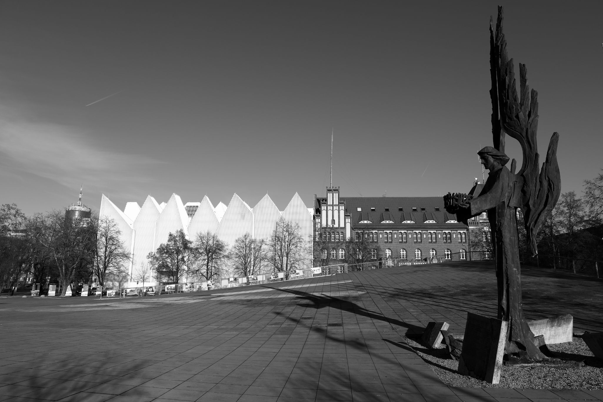 2024 11 30 5613 bw out
