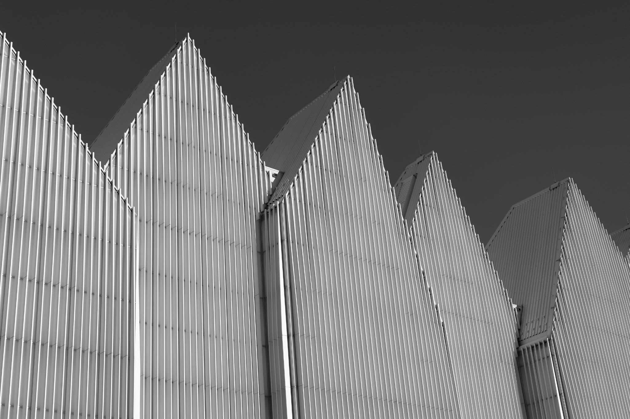 2024 11 30 5621 bw out