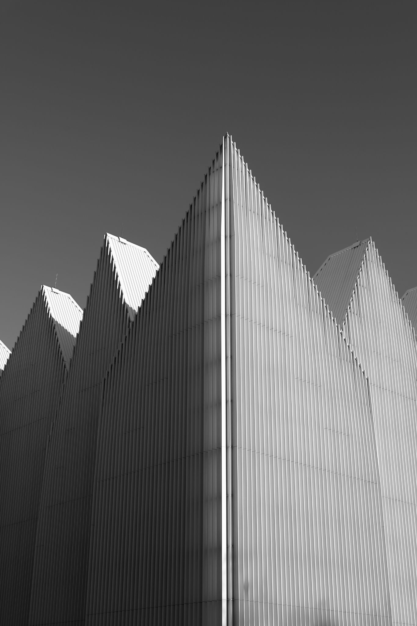 2024 11 30 5625 bw out