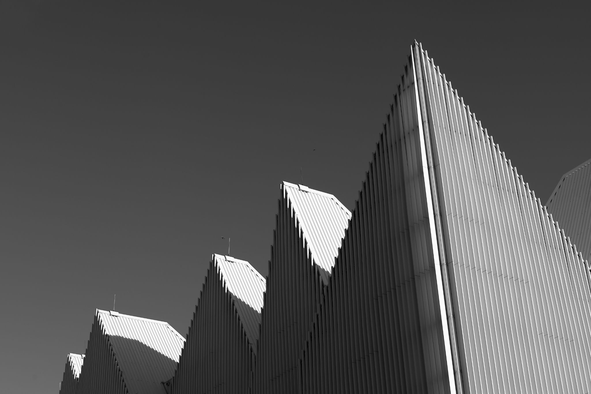 2024 11 30 5626 bw out