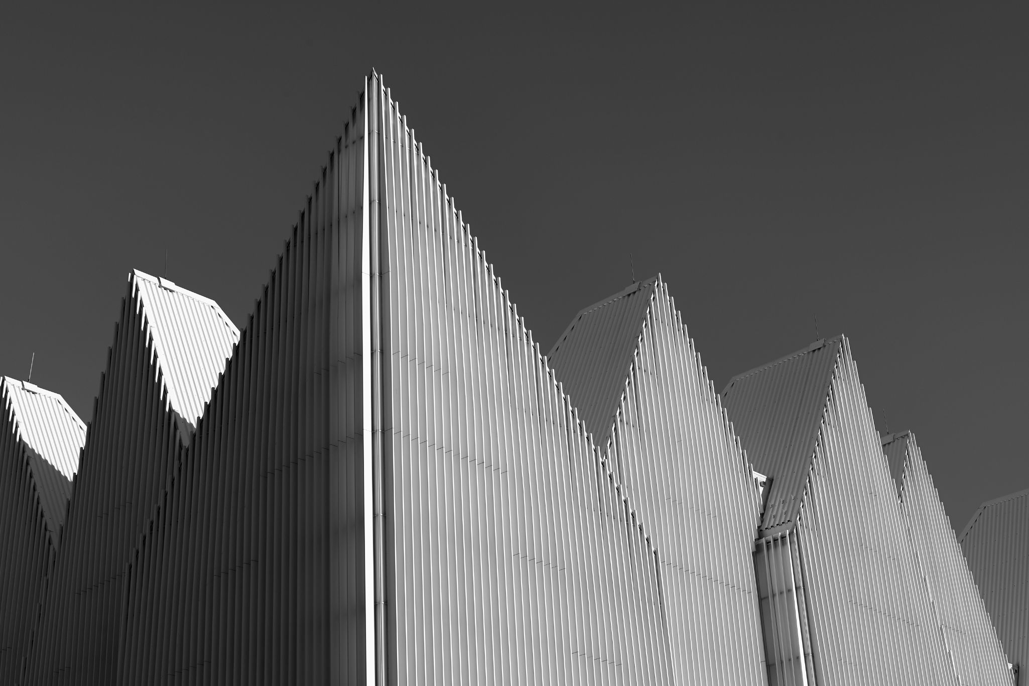 2024 11 30 5631 bw out