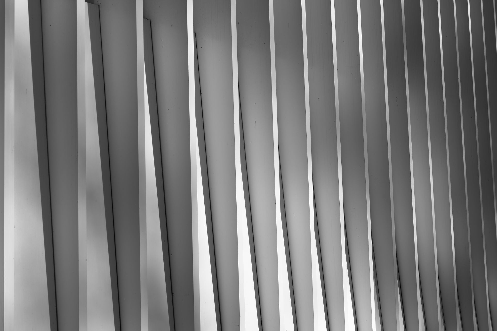 2024 11 30 5636 bw out