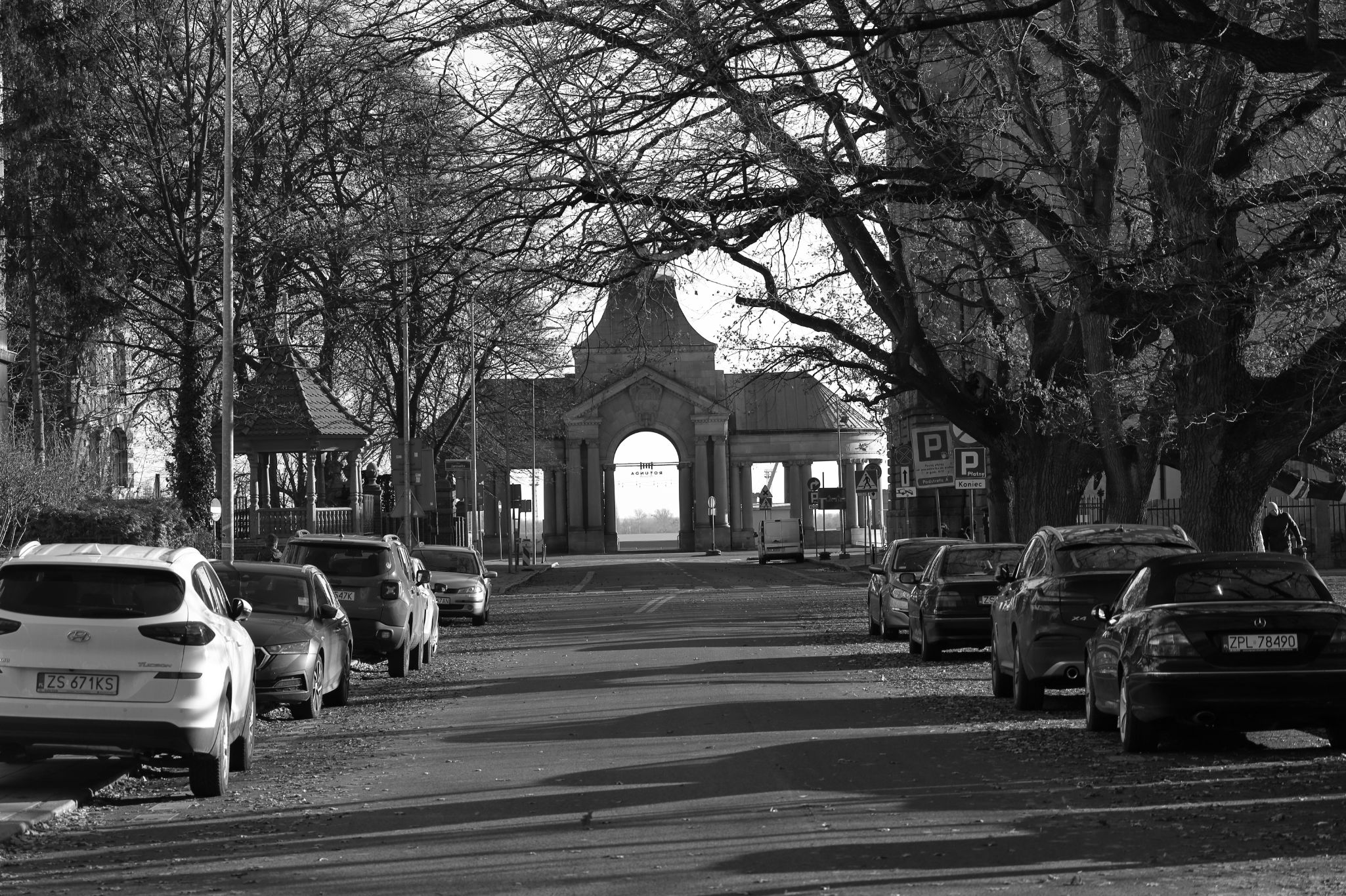 2024 11 30 5658 bw out