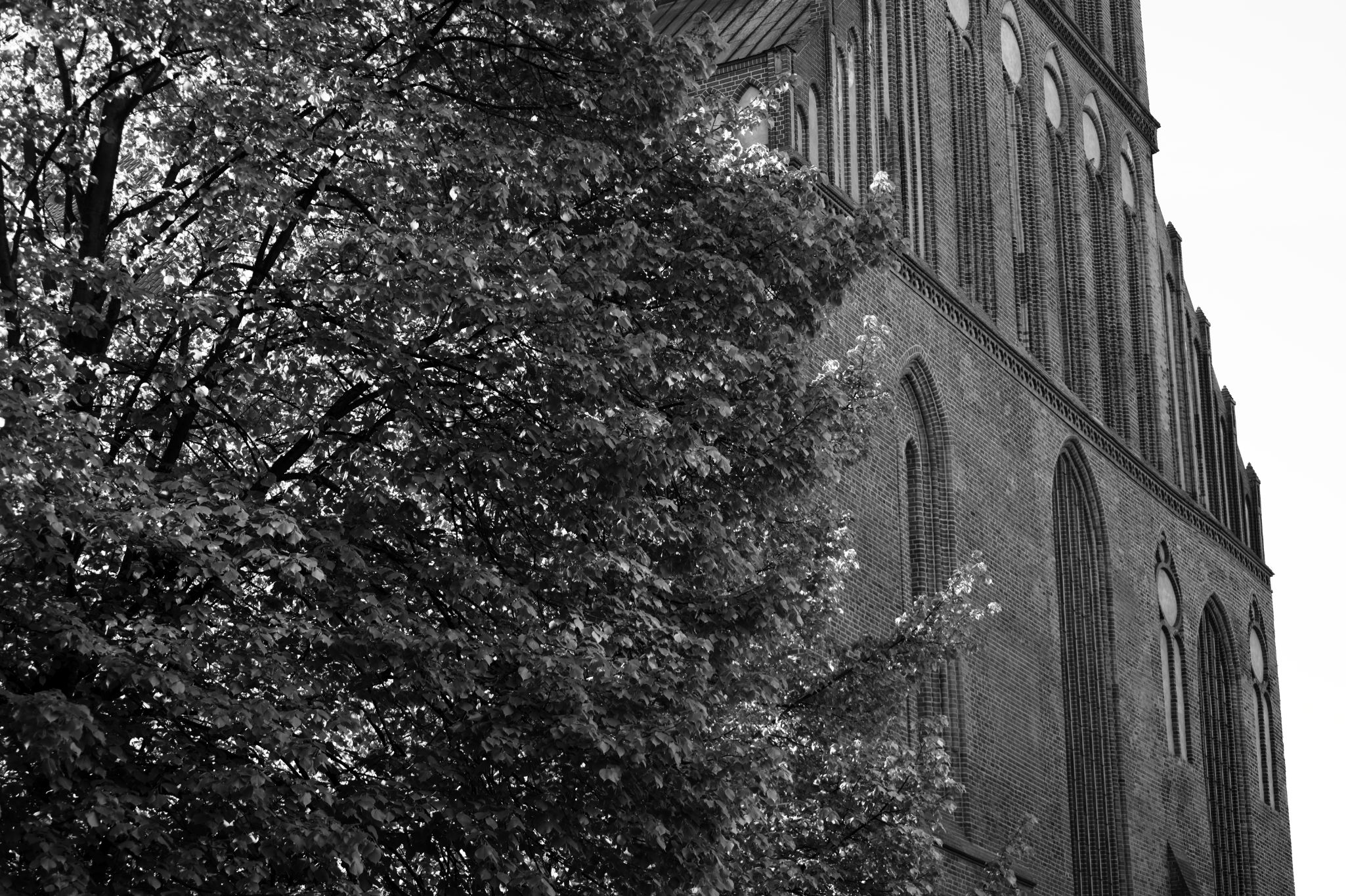 2025 04 27 5999 bw out