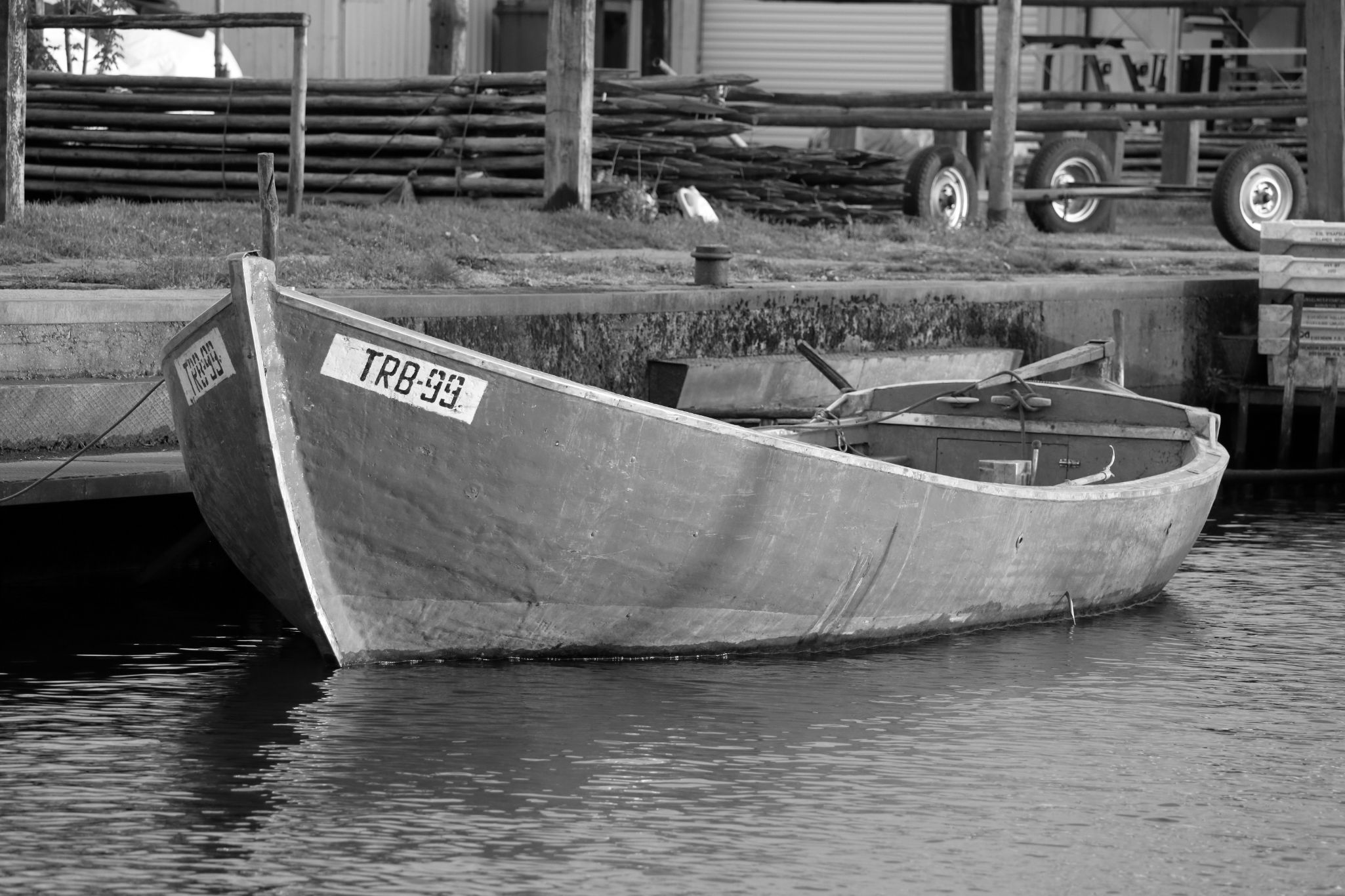 2024 04 17 1415 v2 bw out