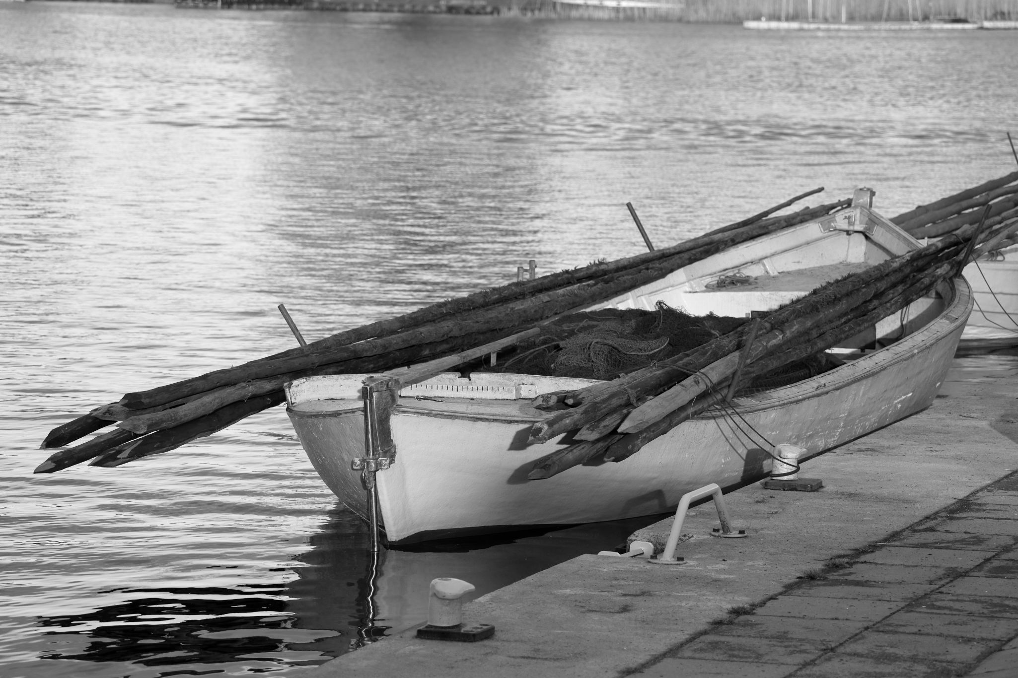 2024 04 17 1421 v2 bw out