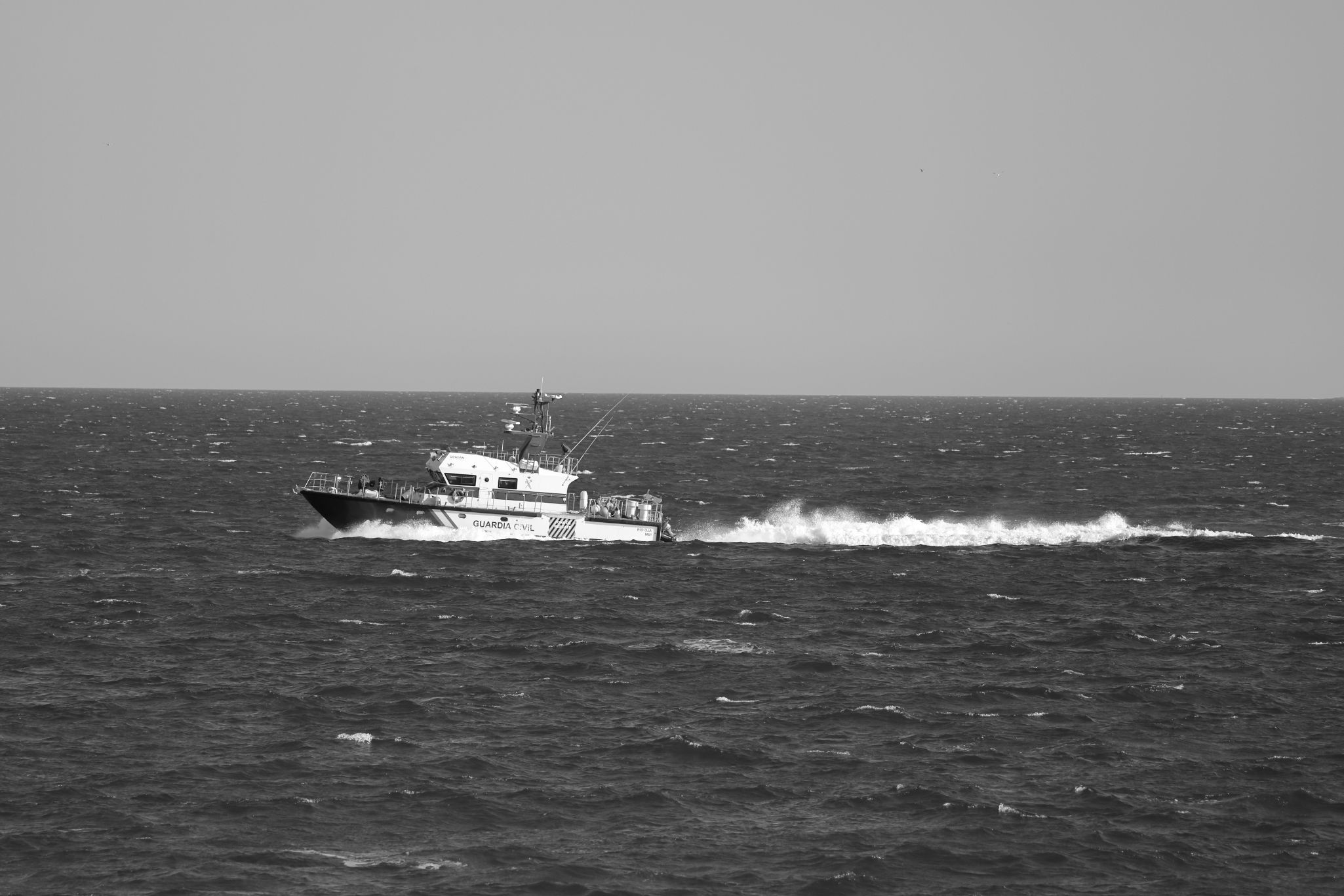 2024 05 15 2937 v2 bw out