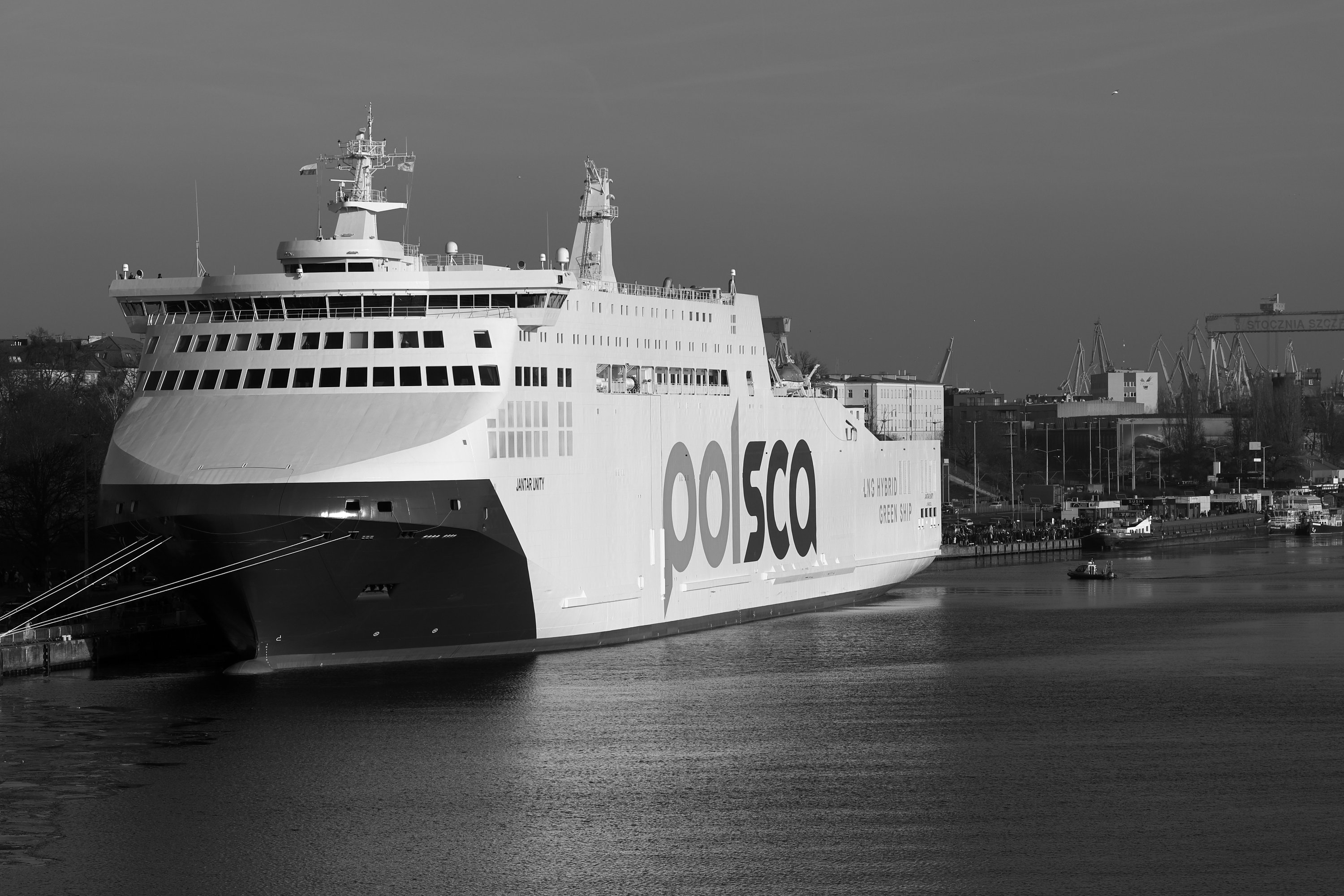 2026 01 18 8579 bw out