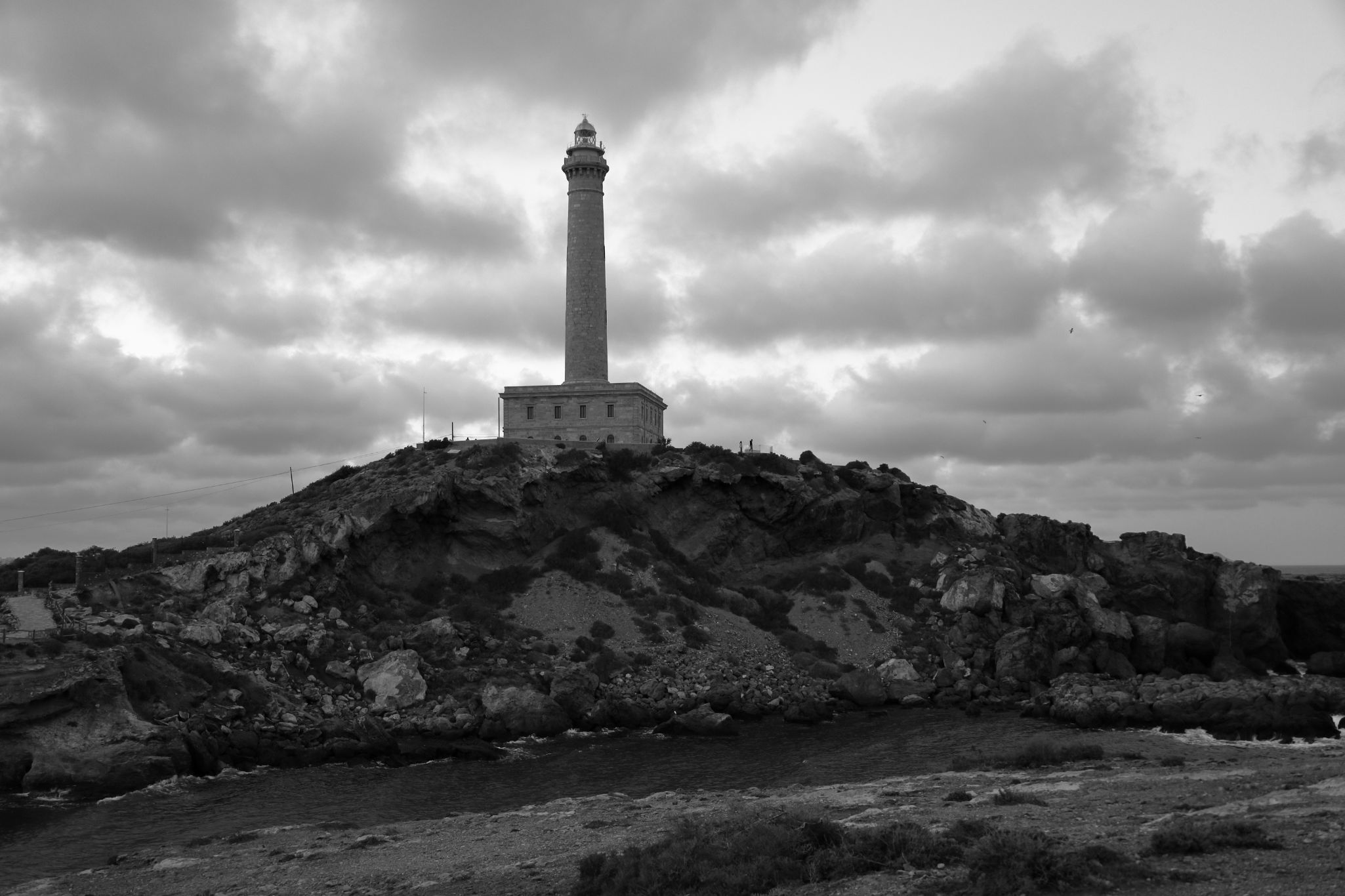 2024 11 07 5297 bw out