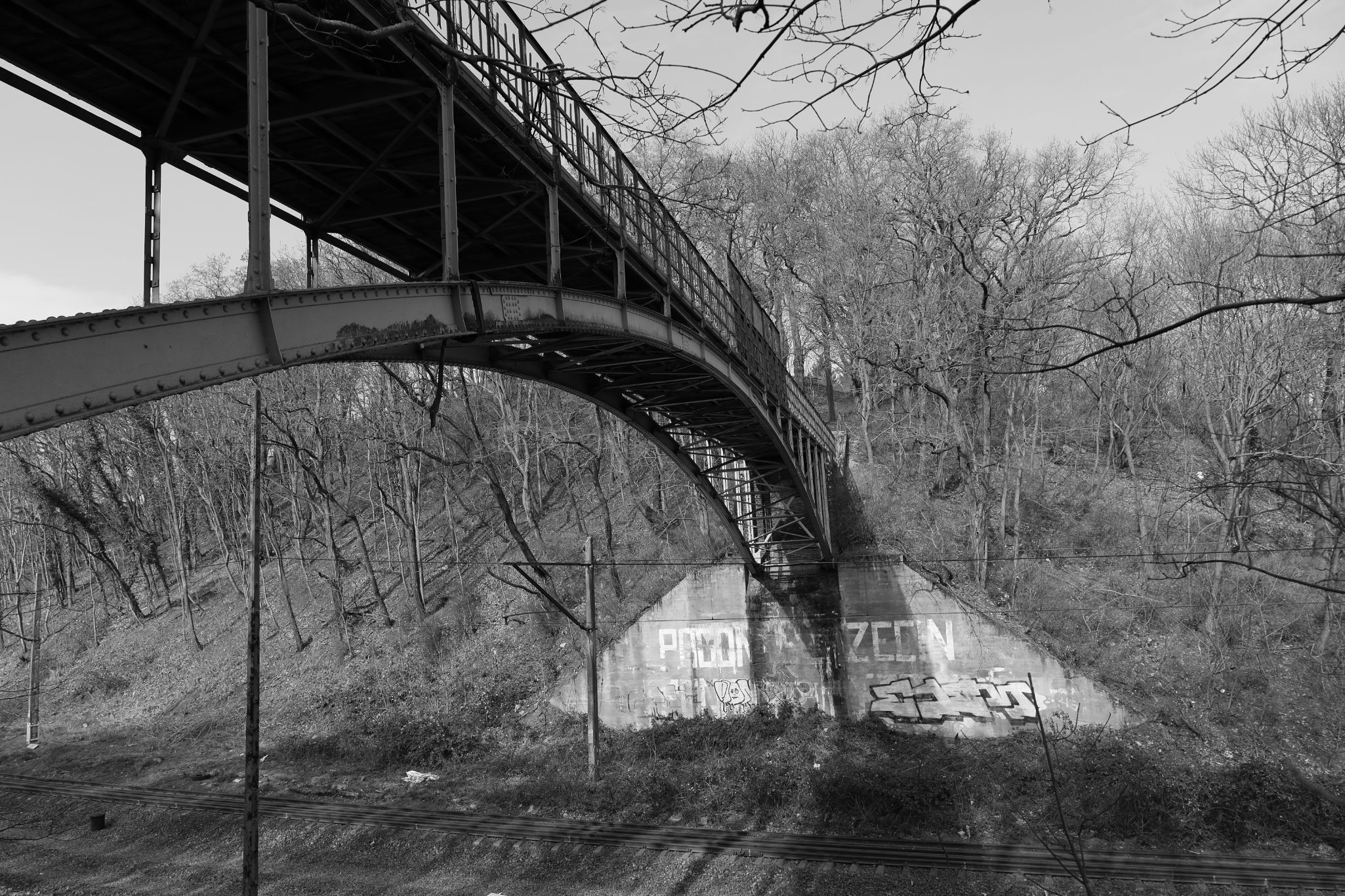 2024 03 10 0795 v2 bw out
