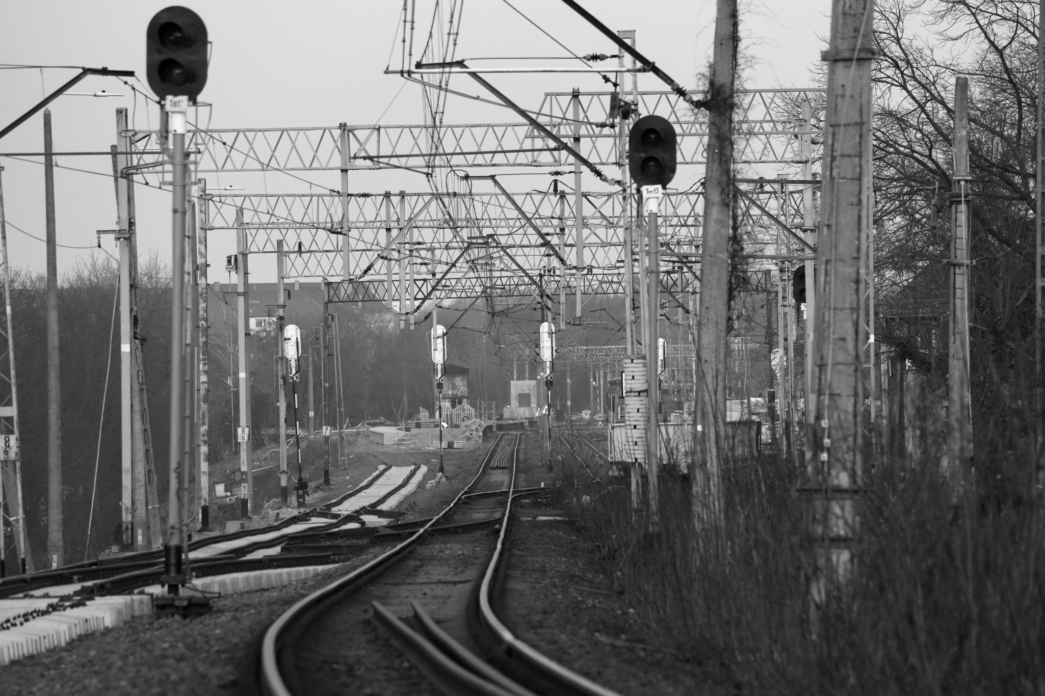 2025 03 09 5853 bw out
