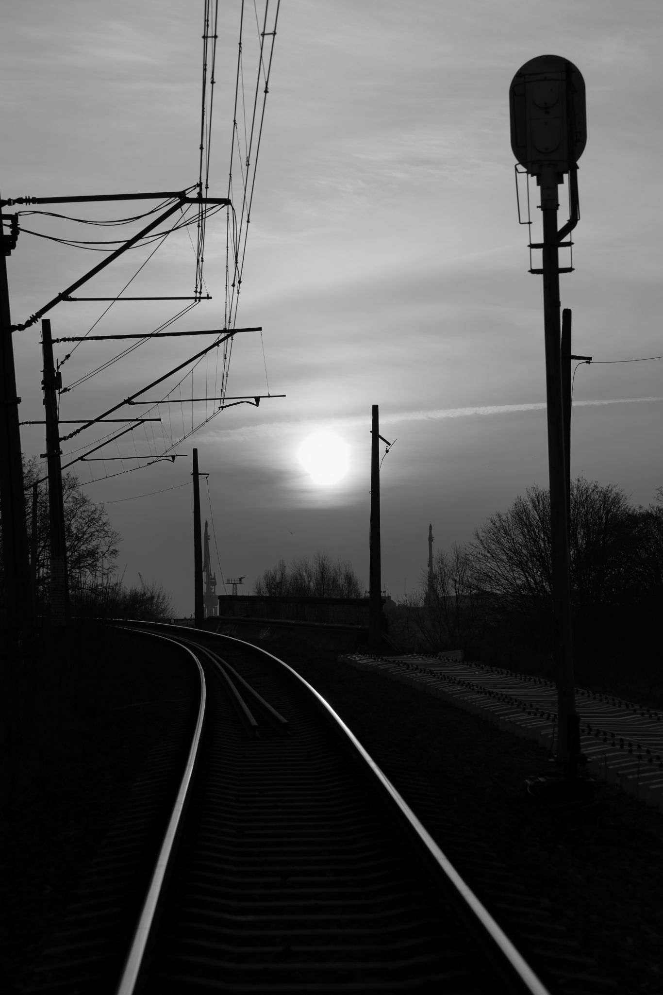 2025 03 09 5862 bw out
